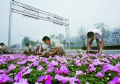 万盆花卉迎接“冬奥会倒计时1000天”