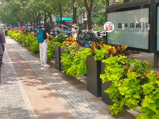 室外景观花境植物|西安嘉禾苗圃